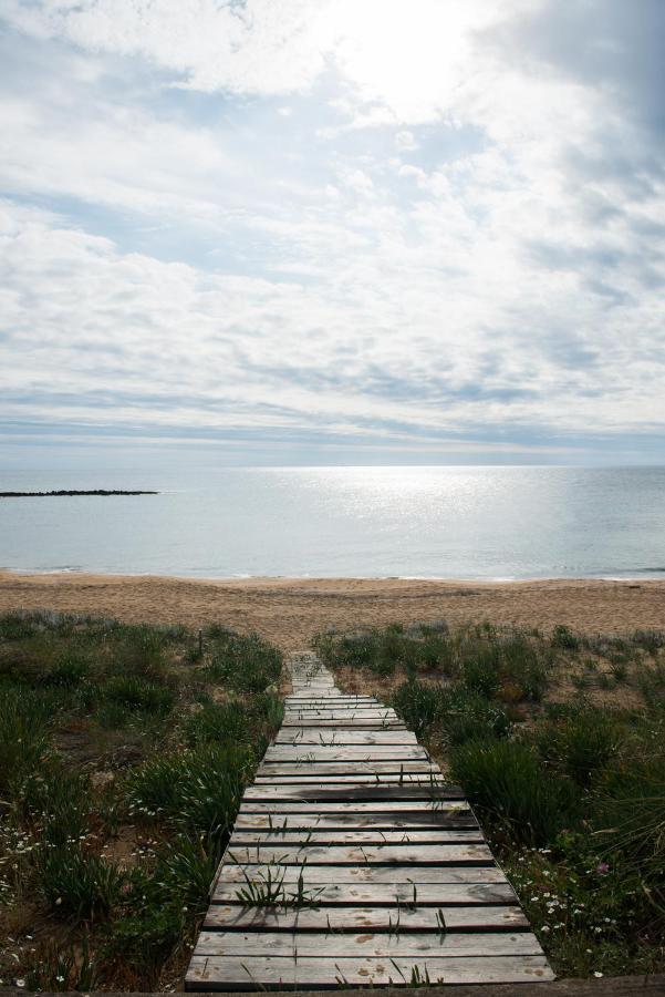 Petrochori Beach House Βοϊδοκοιλιά Εξωτερικό φωτογραφία